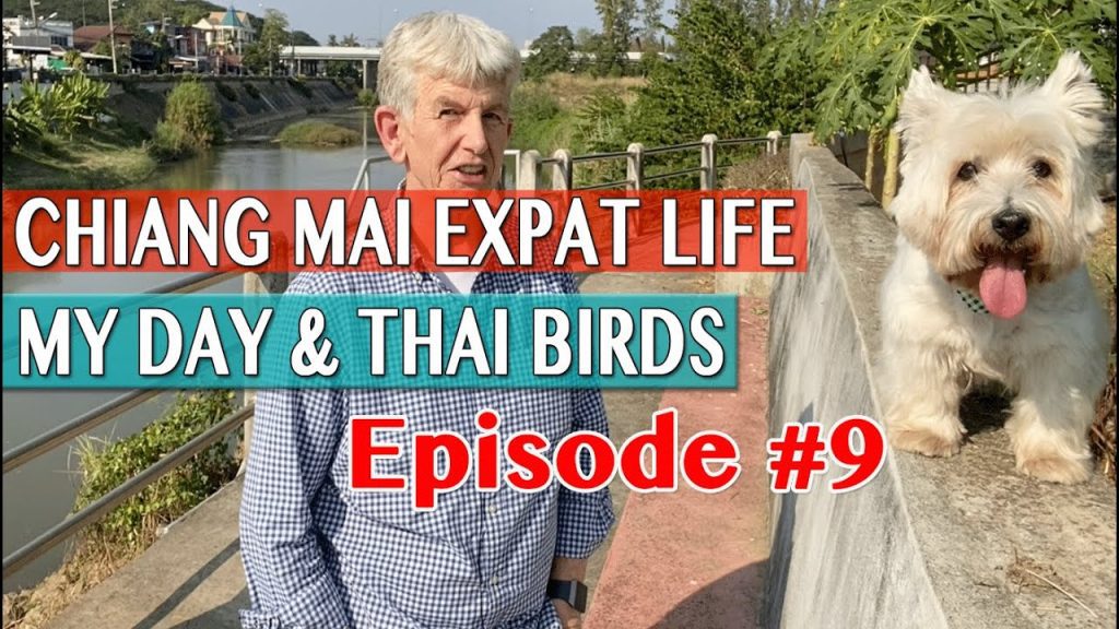 Chiang Mai Expat Life - My day and Thai Birds
