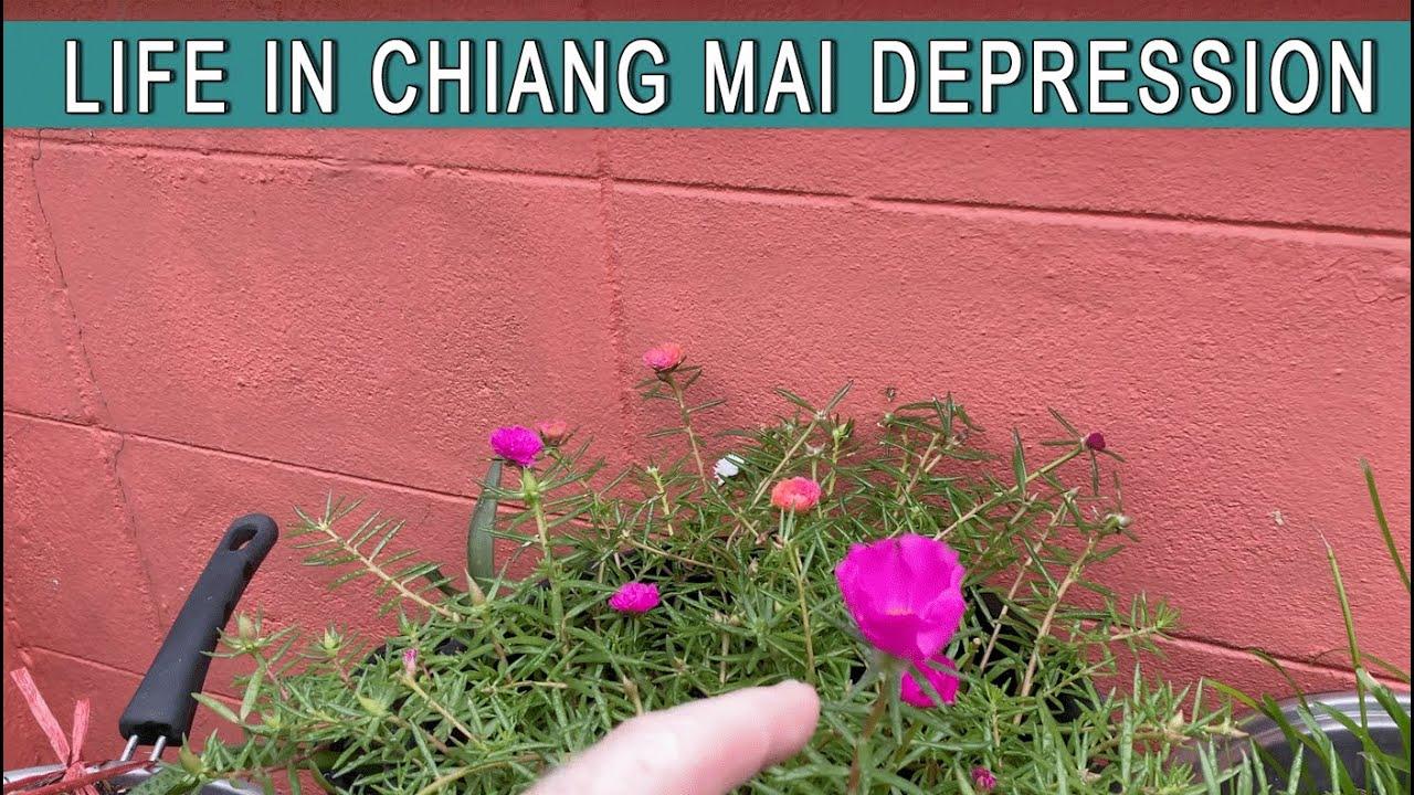 Life in Chiang Mai during a Meteorological Depression