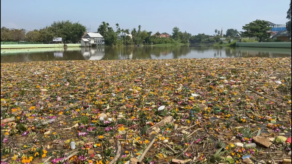 Chiang Mai Eco Friendly Loy Krathong 2022 -The morning after