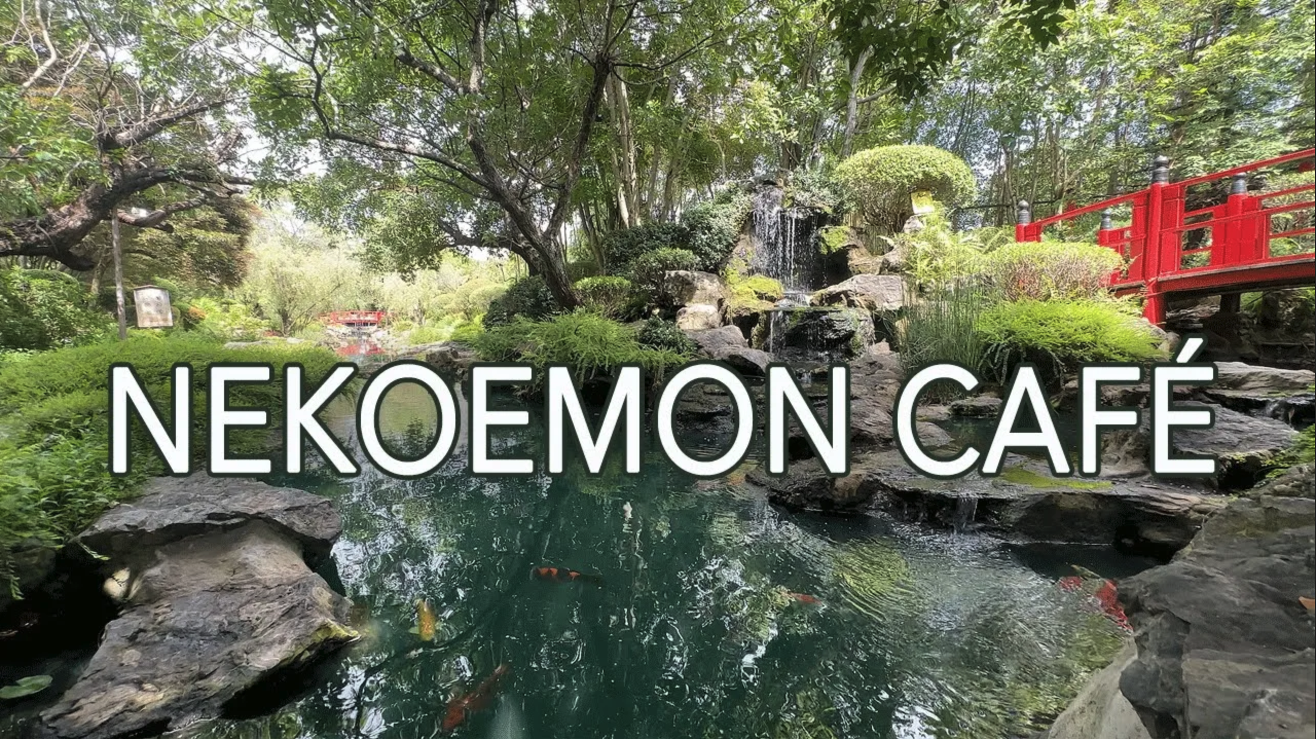 Nekoemon Café Chiang Mai – A Hidden Japanese Oasis in Saraphi